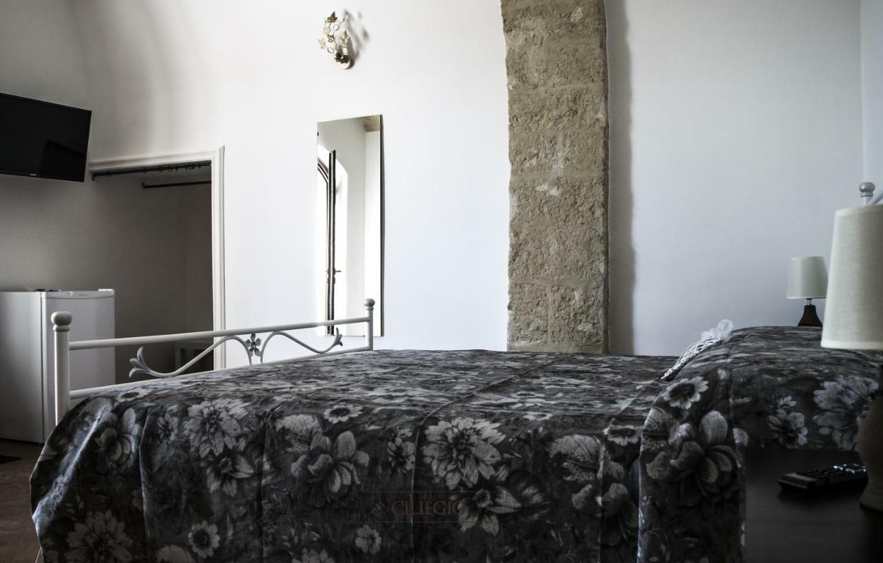 Tenuta Vigna Del Noce Corato Exteriér fotografie