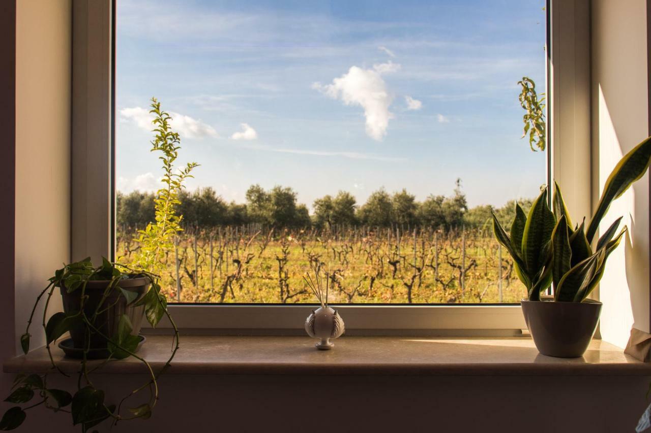 Tenuta Vigna Del Noce Corato Exteriér fotografie